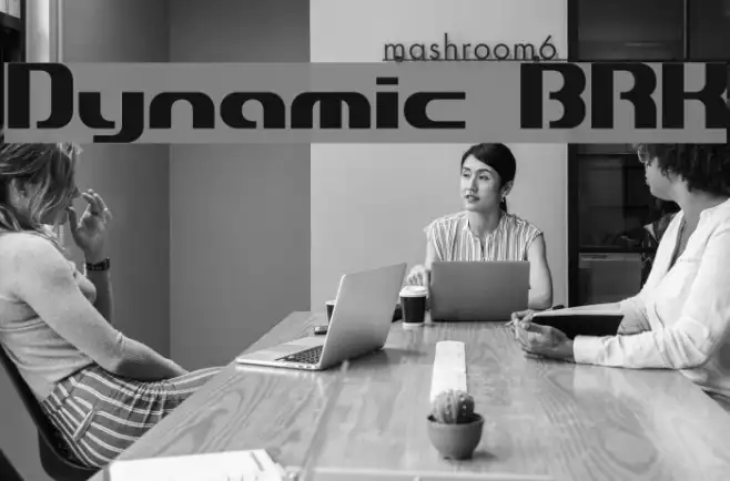 Dynamic BRK Example 2