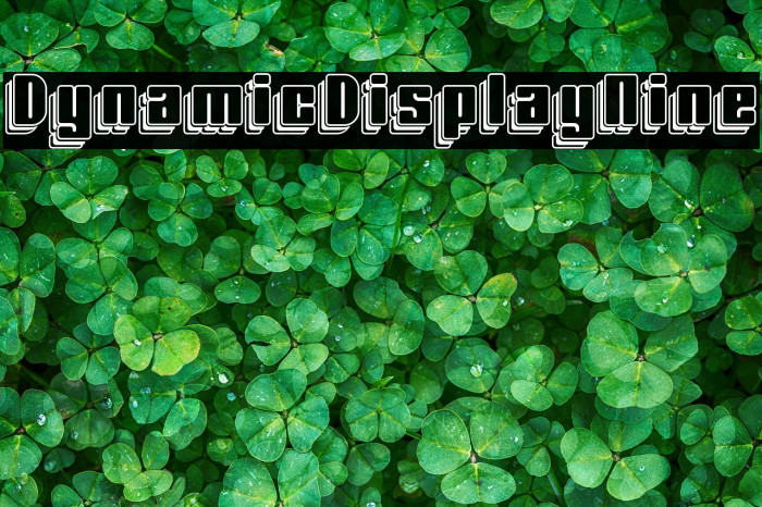 Dynamic Display Nine Example 1