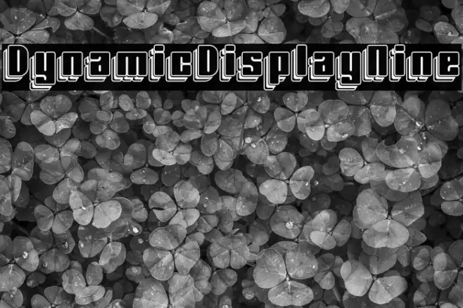 Dynamic Display Nine Example 1