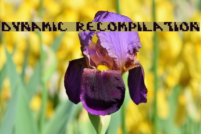 Dynamic Recompilation Font examples