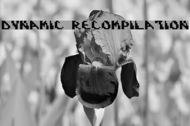 Dynamic Recompilation Font examples