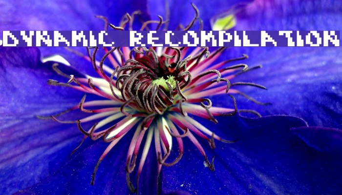 Dynamic Recompilation Font examples