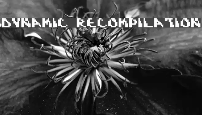 Dynamic Recompilation Font examples