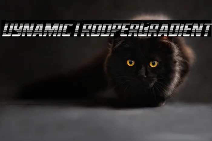 Dynamic Trooper Gradient Example 2