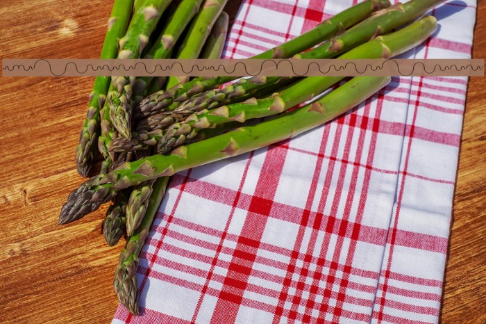 DynamicBeings Example 1