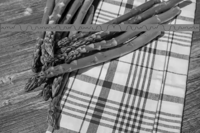 DynamicBeings Font examples