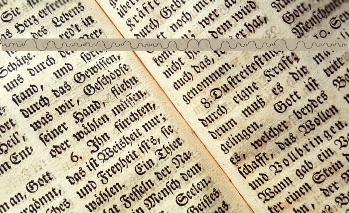 DynamicBeings Example 3