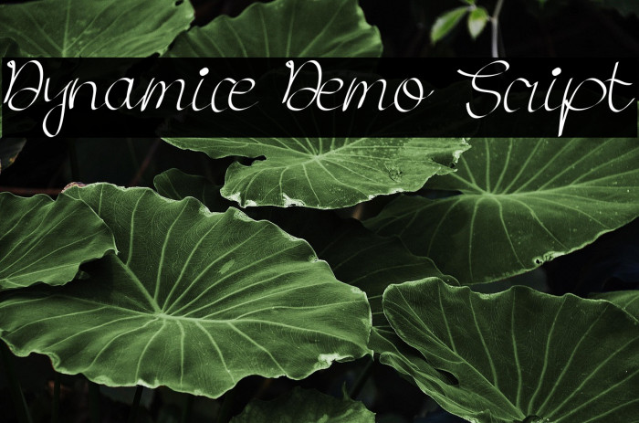 Dynamice Demo Script Example 2