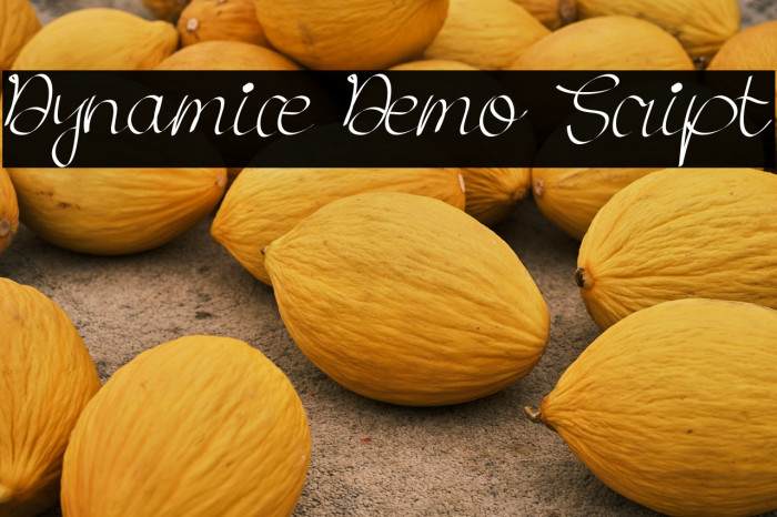 Dynamice Demo Script Example 3