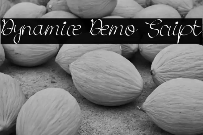 Dynamice Demo Script Font examples