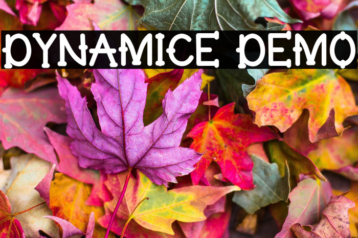 Dynamice Demo Example 1