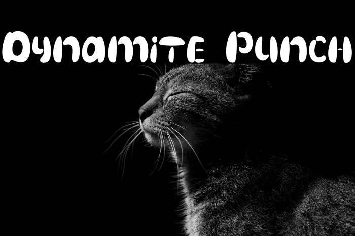 Dynamite Punch Example 2