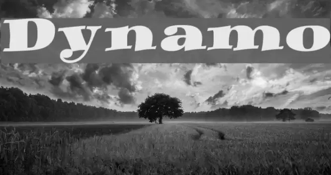 Dynamo Font examples