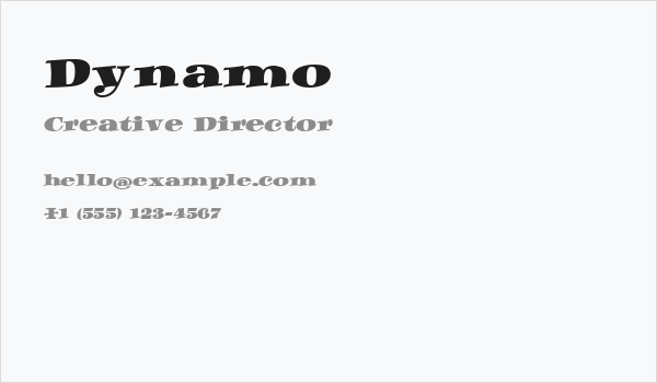 Dynamo Business Card
