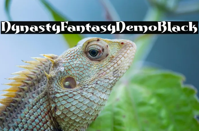 Dynasty Fantasy Demo Black Example 2