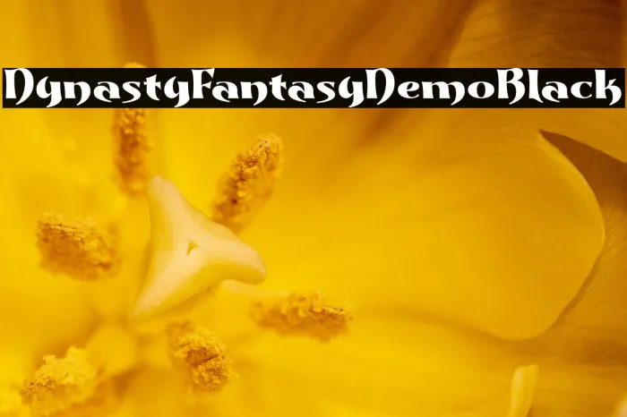 Dynasty Fantasy Demo Black Example 3