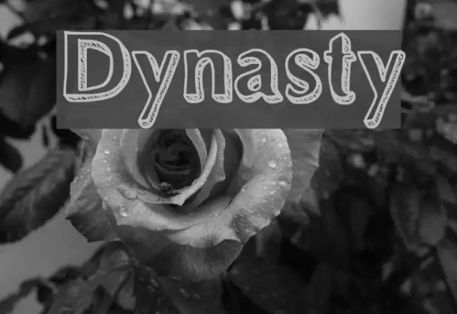 Dynasty Font examples