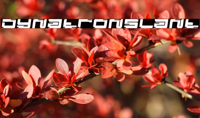 Dynatron Slant Example 3