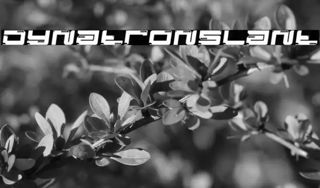 Dynatron Slant Example 3