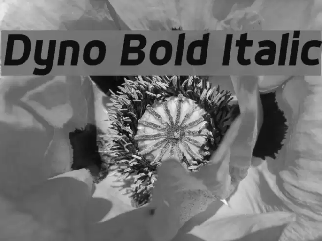 Dyno Bold Italic Font examples