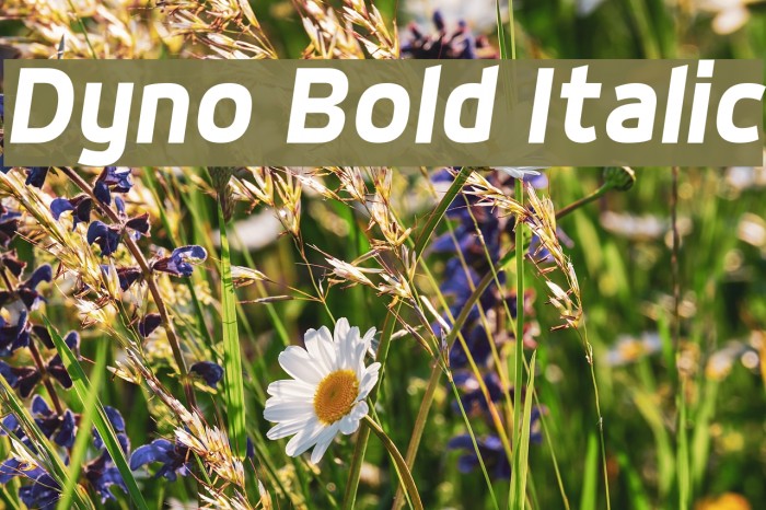 Dyno Bold Italic Font examples