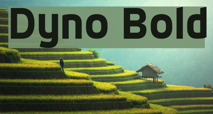 Dyno Bold Schriftart examples