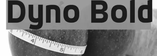 Dyno Bold Font examples