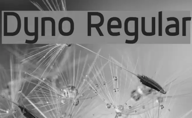 Dyno Regular Font examples