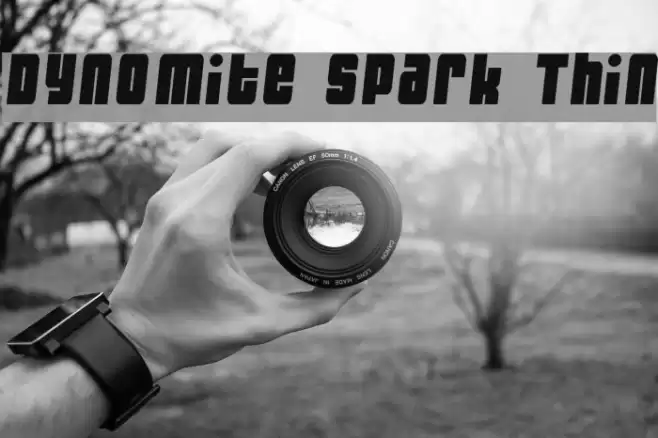 Dynomite Spark Thin Font examples