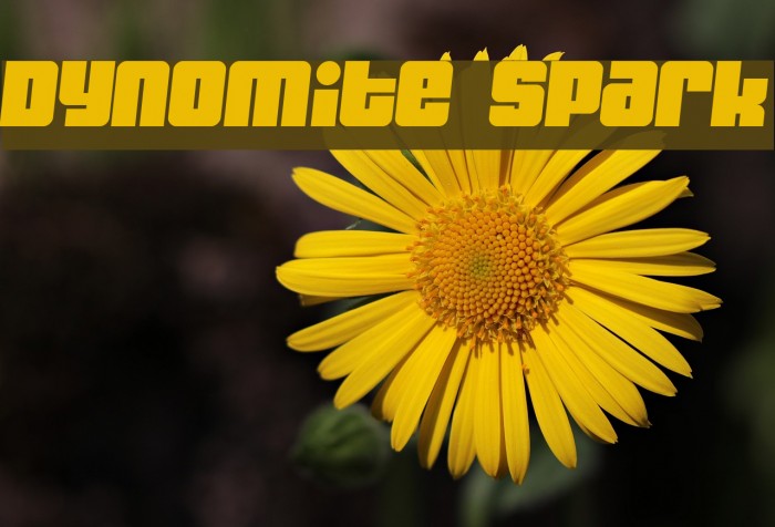 Dynomite Spark Font examples