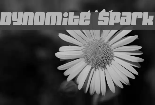 Dynomite Spark フォント examples