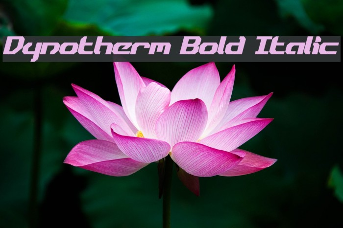 Dynotherm Bold Italic Font examples