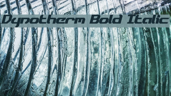 Dynotherm Bold Italic Font examples
