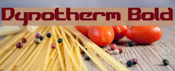 Dynotherm Bold Font examples