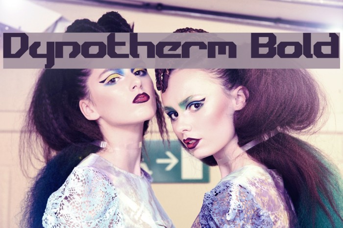 Dynotherm Bold Font examples