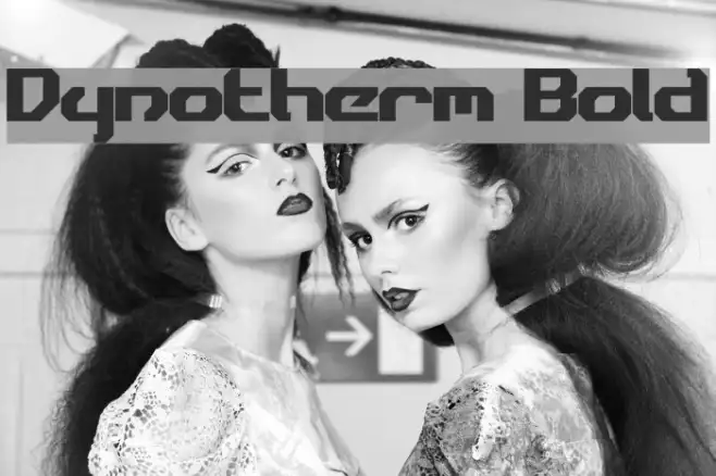 Dynotherm Bold Example 3