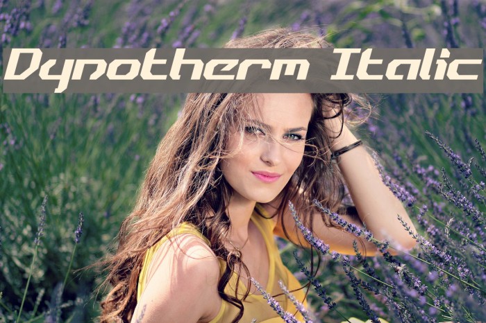 Dynotherm Italic Font examples