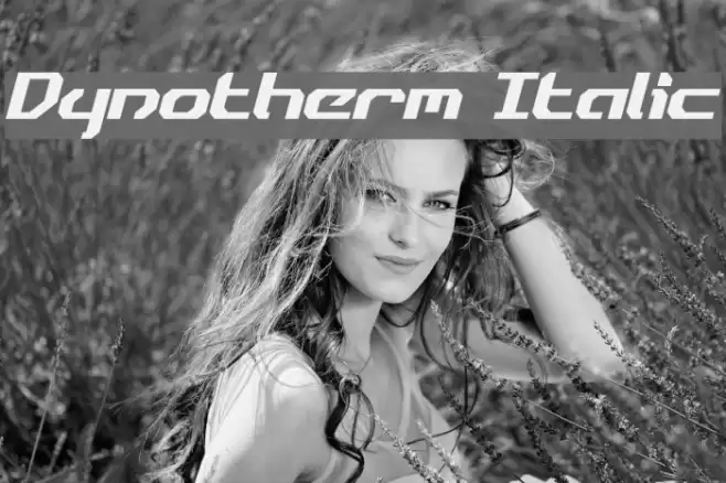 Dynotherm Italic Fonte examples