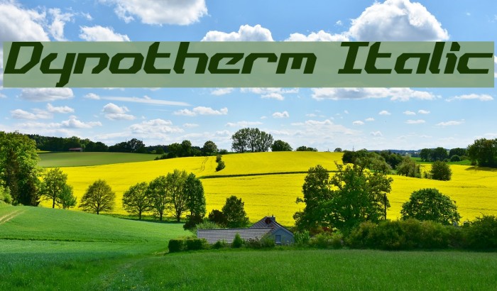 Dynotherm Italic Font examples