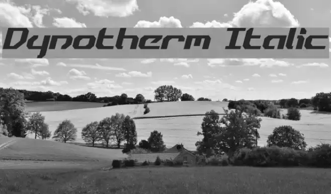 Dynotherm Italic Fonte examples
