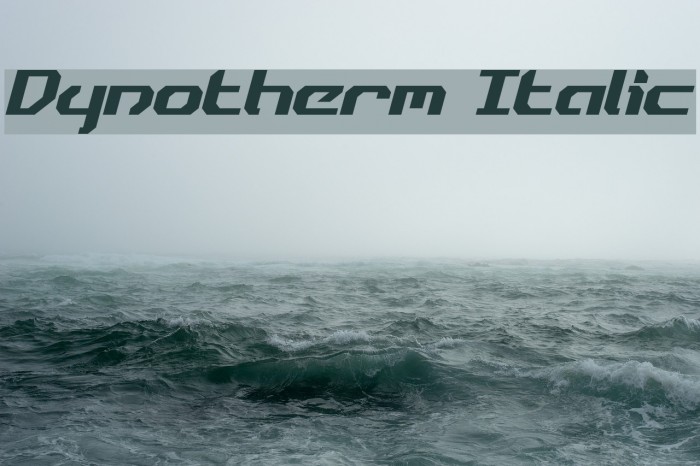 Dynotherm Italic Font examples