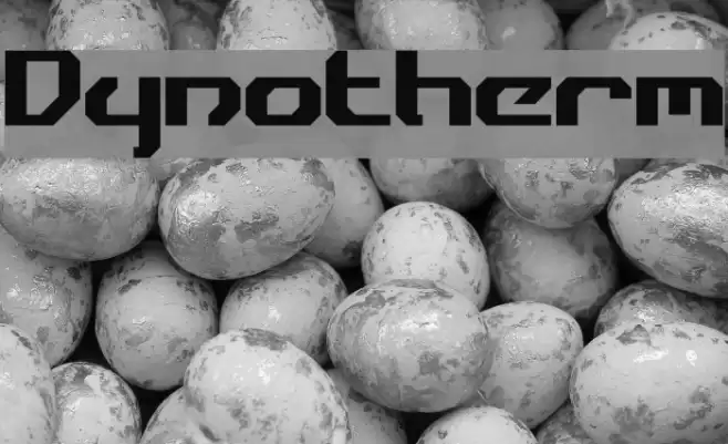 Dynotherm Font examples