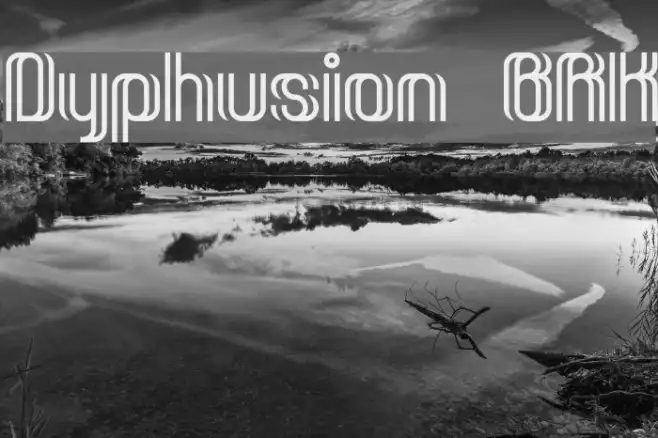 Dyphusion BRK Example 1