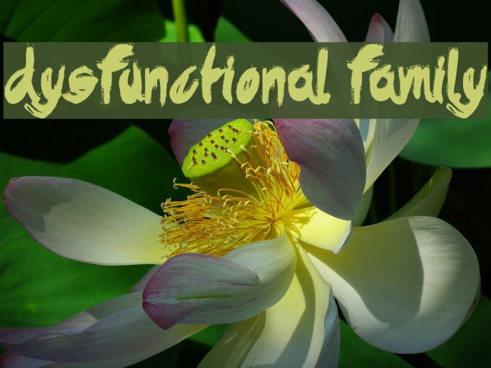Dysfunctional Family Font examples