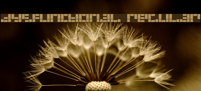 Dysfunctional Regular Example 3