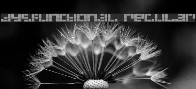 Dysfunctional Regular Font examples