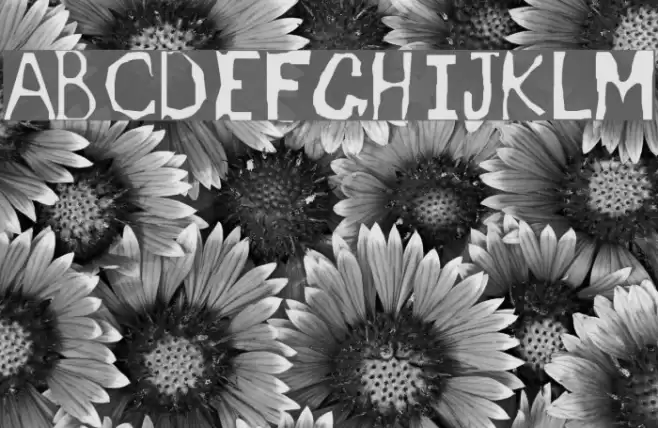 Dyslexic English Teacher Font examples