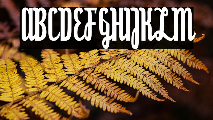 Dyspepsia-Regular Example 1