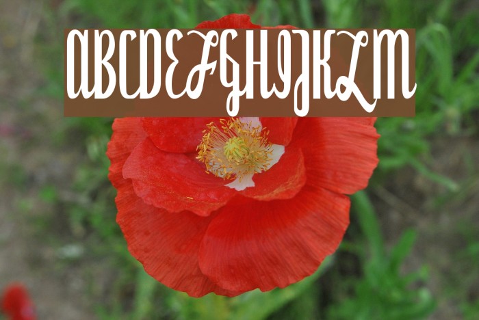 Dyspepsia Font examples