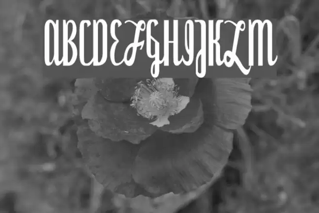 Dyspepsia Font examples